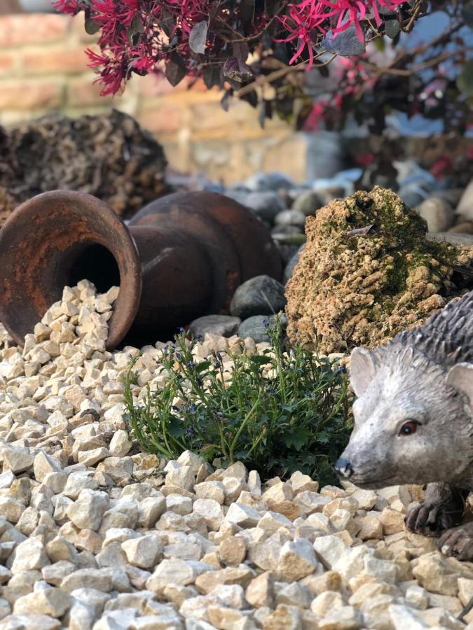 Residenza Airone Konuk evi Vicenza Dış mekan fotoğraf